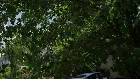 The Path S03E01