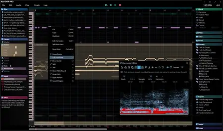 Hit'n'Mix Ripx Daw Pro v7.5.1