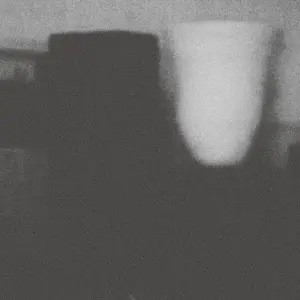 Merzbow - The Prosperity Of Vice, The Misfortune Of Virtue (Remastered) (2025) (Hi-Res)