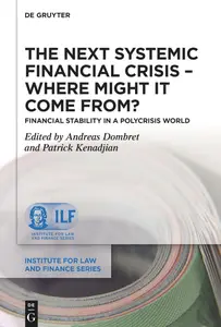 The Next Systemic Financial Crisis – Where Might it Come From?: Financial Stability in a Polycrisis World