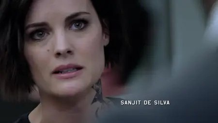 Blindspot S03E11