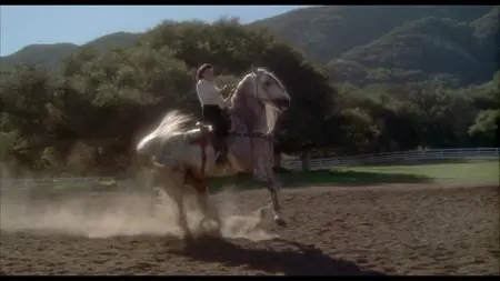 Hot Shots! (1991)