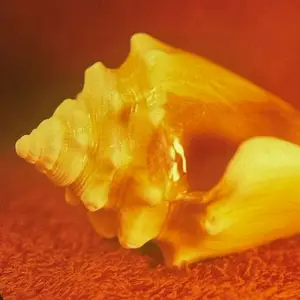 Allah-Las - Sirenas (2026)