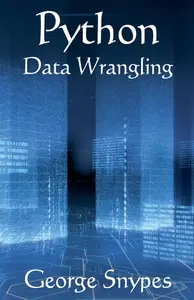 Python Data Wrangling for Business Analytics (Python for Business Analytics)