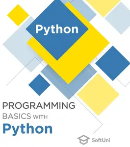 PROGRAMMING BASICS IN PYTHON 3