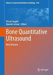 Bone Quantitative Ultrasound: New Horizons