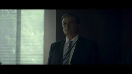 Il nibbio (2025)