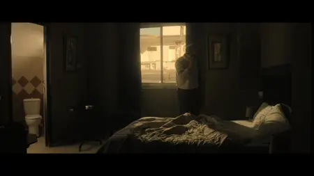 Il nibbio (2025)
