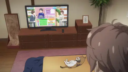 Seishun Buta Yarou wa Santa Claus no Yume wo Minai - 12 (1080p