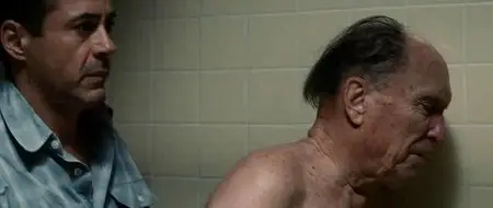 The Judge (2014)