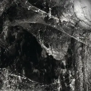 Abyssal - Novit Enim Dominus Qui Sunt Eius (2013)