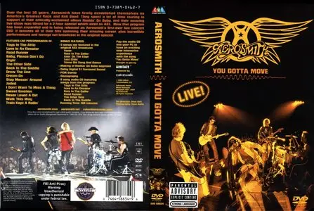 Aerosmith - You Gotta Move (2004)