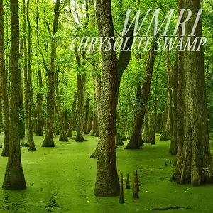 WMRI - Chrysolite Swamp (2010/2012)