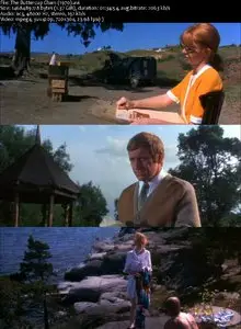 The Buttercup Chain (1970) 