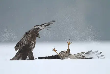 World In Photo 237