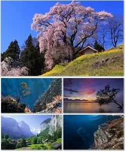SuperPack Beautiful Nature HD Wallpapers Part (222)