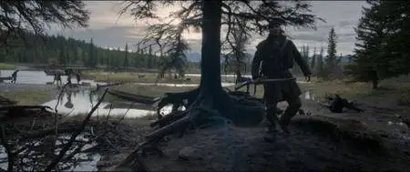 The Revenant (2015)