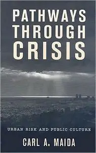 Pathways through Crisis: Urban Risk and Public Culture (repost)