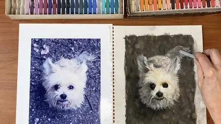 Animal Textures In Chalk Pastel