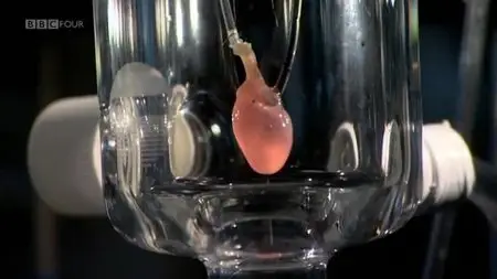 BBC - Mend Me: A Horizon Guide to Transplants (2013)
