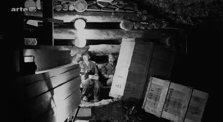 (Arte) Les œuvres volées par Hitler ou l'incroyable sauvetage (2014)