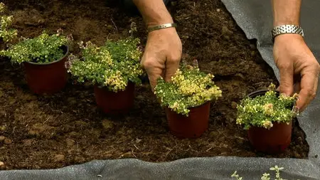 Alan Titchmarsh's - Garden Secrets