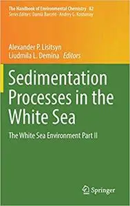 Sedimentation Processes in the White Sea: The White Sea Environment Part II