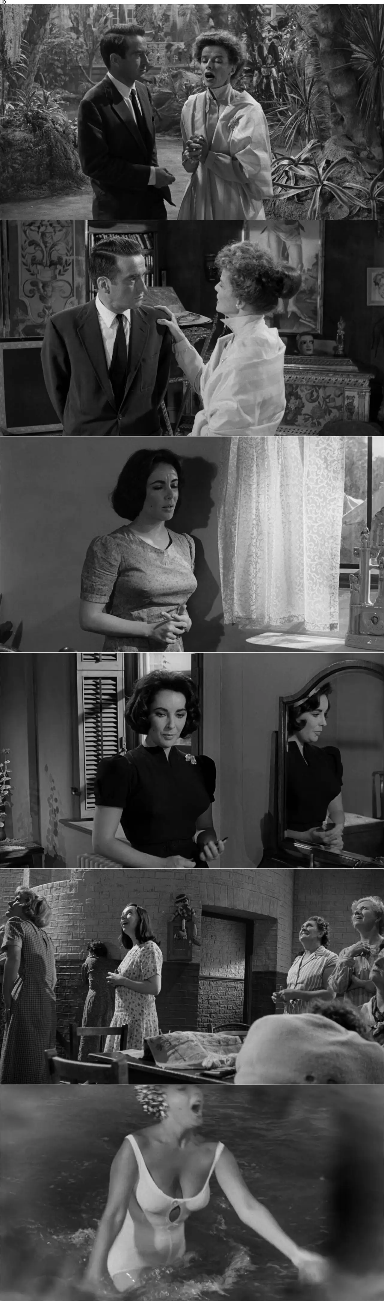 Suddenly, Last Summer (1959) / AvaxHome