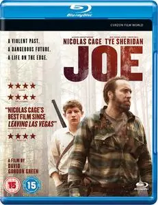 Joe (2013)