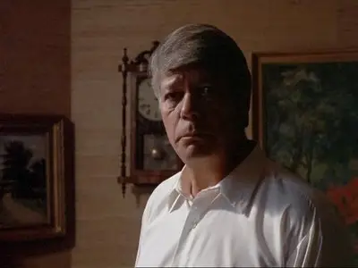Rikos ja rangaistus / Crime and Punishment (1983)