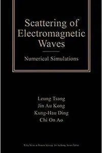 Scattering of Electromagnetic Waves, Numerical Simulations [Repost]