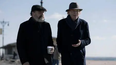 Homeland S06E06 (2017)