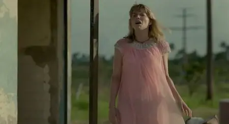 Hasta la vista, Sister! / Day of the Flowers (2013)