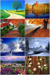 Wallpaper Of Seasons