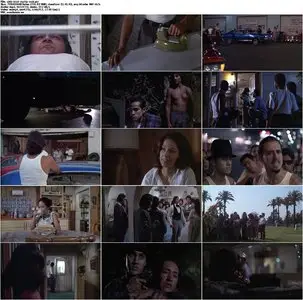 Boulevard Nights (1979)