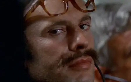 The Crook / Le voyou / Негодяй (1970)