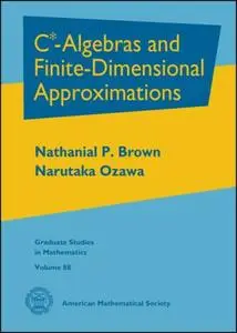 C*-Algebras and Finite-Dimensional Approximations (repost)