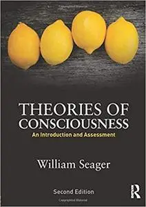 Theories of Consciousness: An Introduction and Assessment Ed 2
