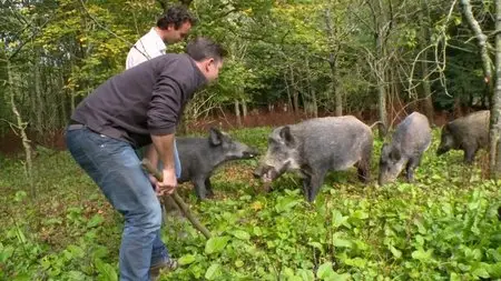 Channel 4 - Food Unwrapped: Series 5 (2015)