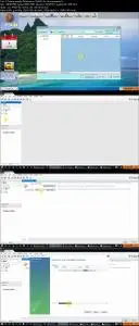 MySQL in C# Series: Search MySQL Server Data in C# Code