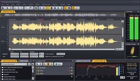 Acon Digital Acoustica Premium Edition 7.0.8 (x64) Portable