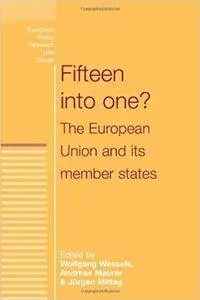 Fifteen into One? The European Union and Its Member States