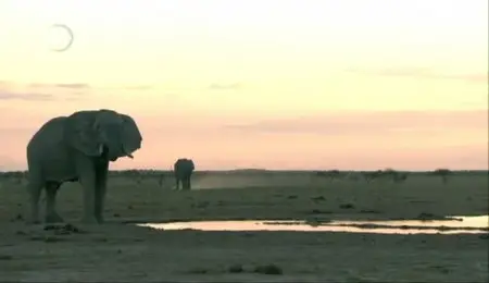UKTV - Boteti: The Returning River (2011)