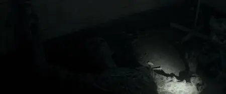 The Veil (2016)