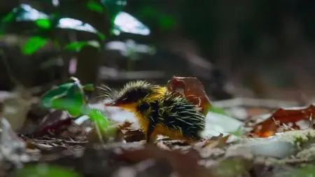 Tiny World S02E04