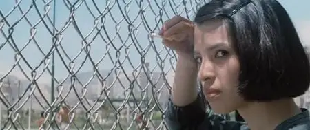 Don't Play with Fire (1980) AKA Dangerous Encounter - 1st Kind [Director's Cut]