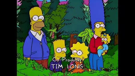 Die Simpsons S11E14