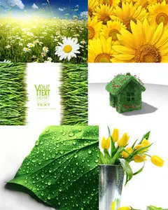 Amazing SS | Green Elements