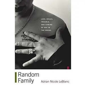 Random Family: Love, Drugs, Trouble, and Coming of Age in the Bronx [Audiobook]