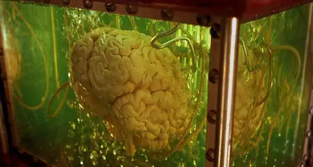 Marc Caro & Jean-Pierre Jeunet - La cité des enfants perdus (1995)